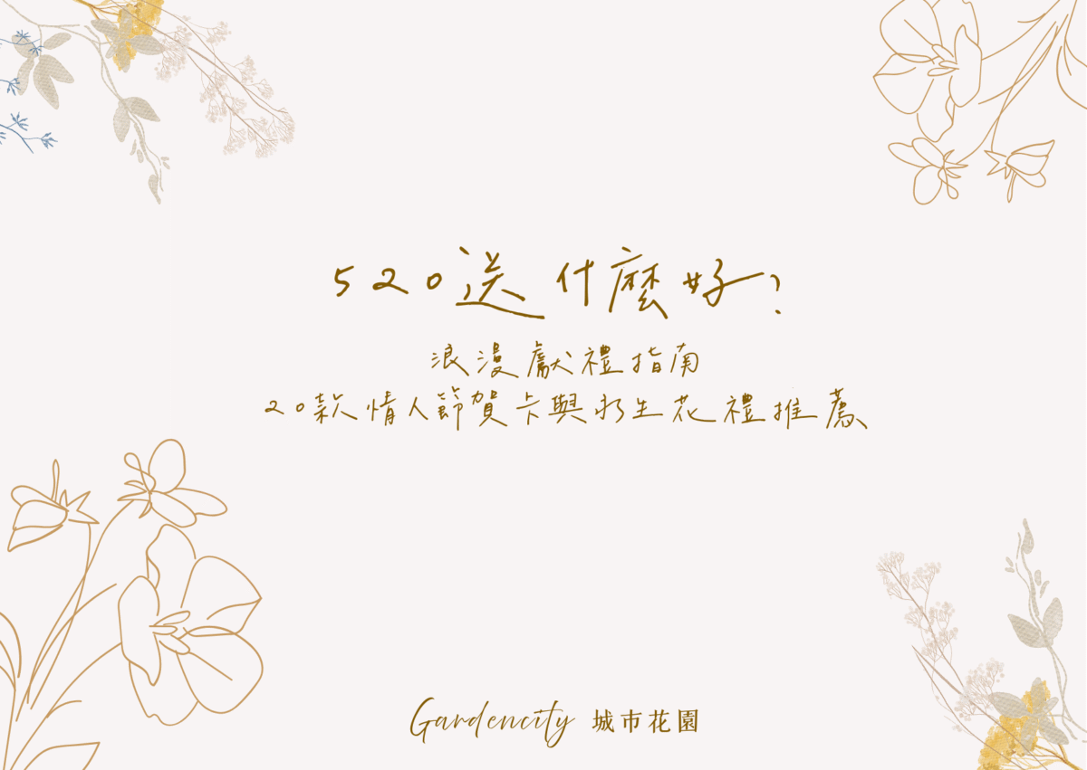 520情人節浪漫送禮主題圖，精選20款永生花禮與情人節告白卡片，展現愛意與驚喜，適合表白、情侶、另一半