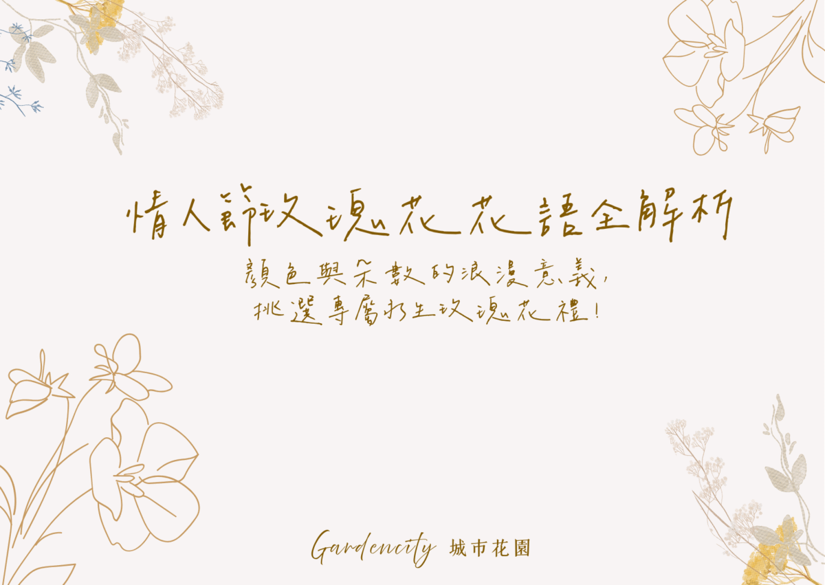 情人節玫瑰花花語與送禮意義，解析紅玫瑰、粉玫瑰、白玫瑰等不同顏色與朵數代表的浪漫含義，搭配專屬永生花禮設計