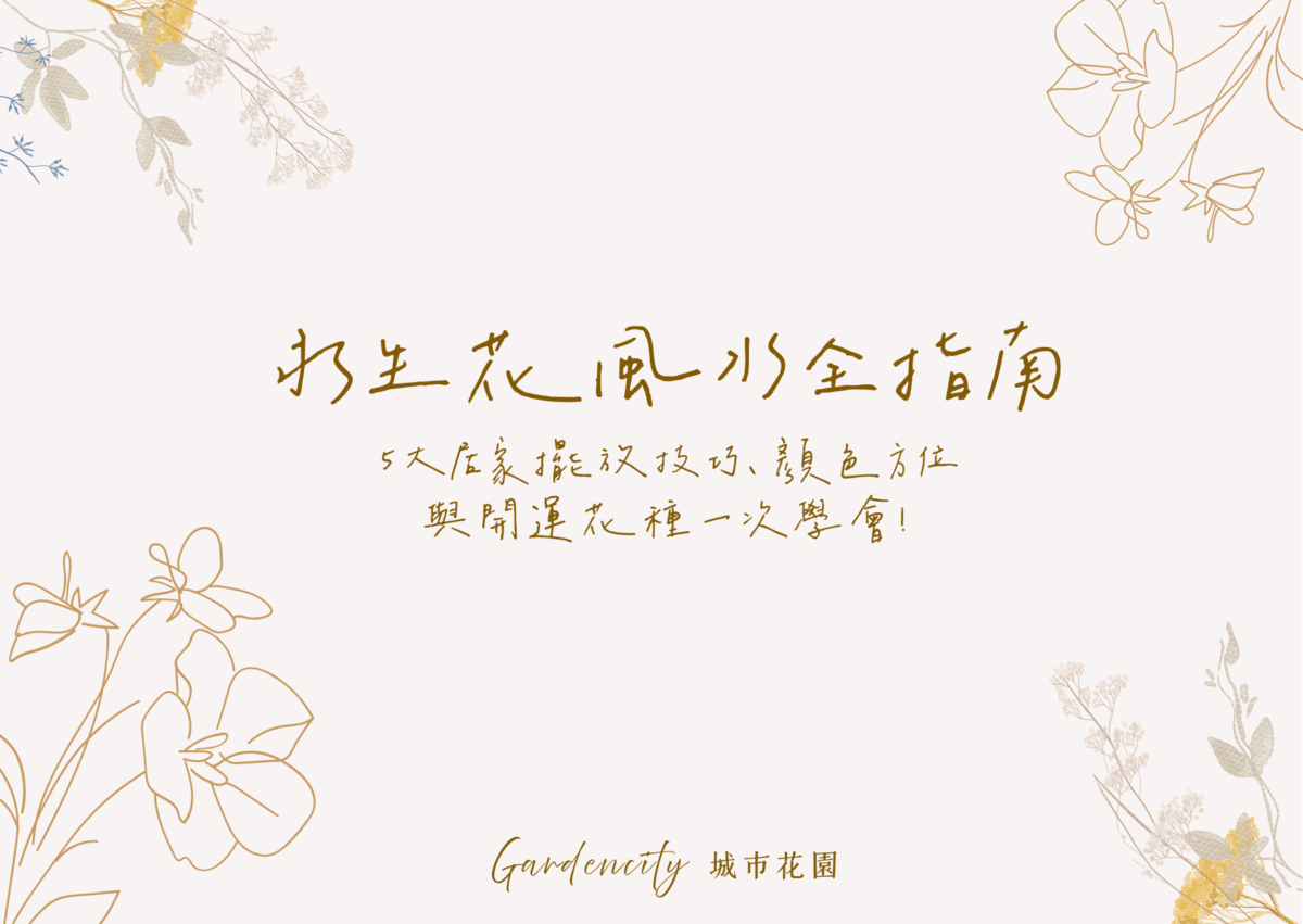 永生花風水指南，用於說明居家擺放技巧與花色方位建議，提升空間能量與招好運概念
