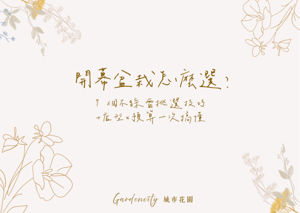 開幕盆栽送禮示意，永生花盆栽質感開幕祝賀