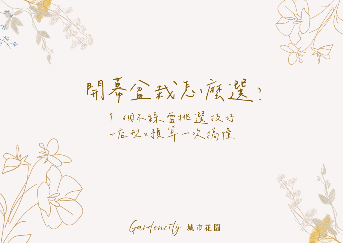 開幕盆栽送禮示意，永生花盆栽質感開幕祝賀